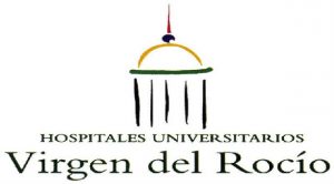 VIRGEN DEL ROCIO